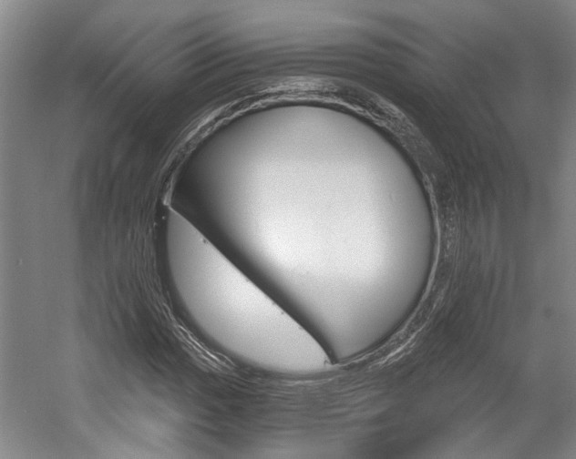 X0000058801017200509300908