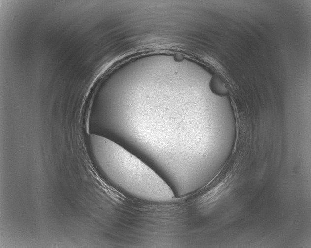 X0000058801023200509300908