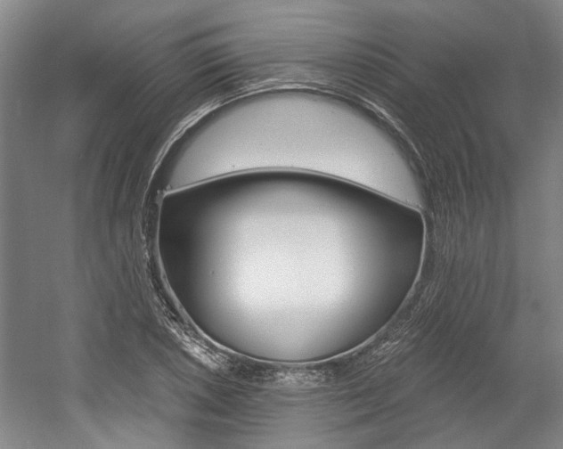X0000058801026200509300909