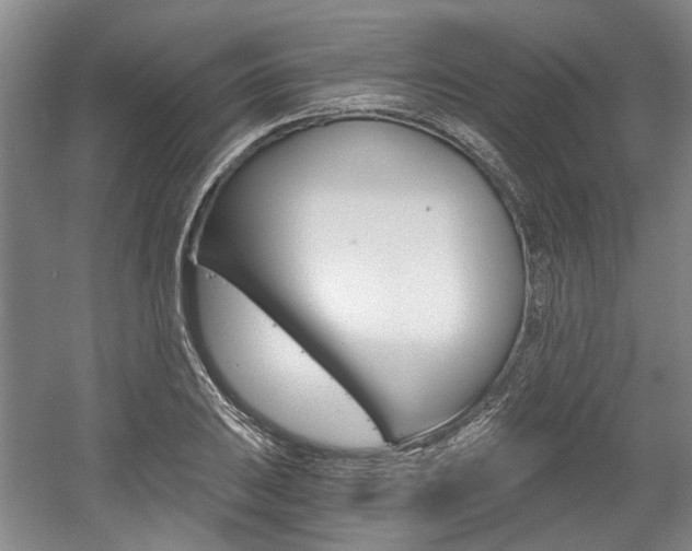 X0000058801031200509300909