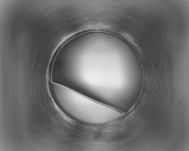 X0000058801032200509300909