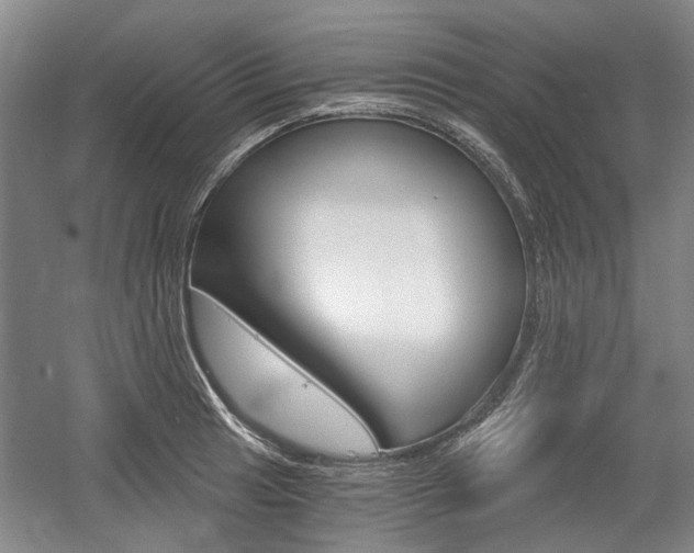 X0000058801041200509300909