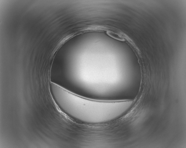 X0000058801049200509300909