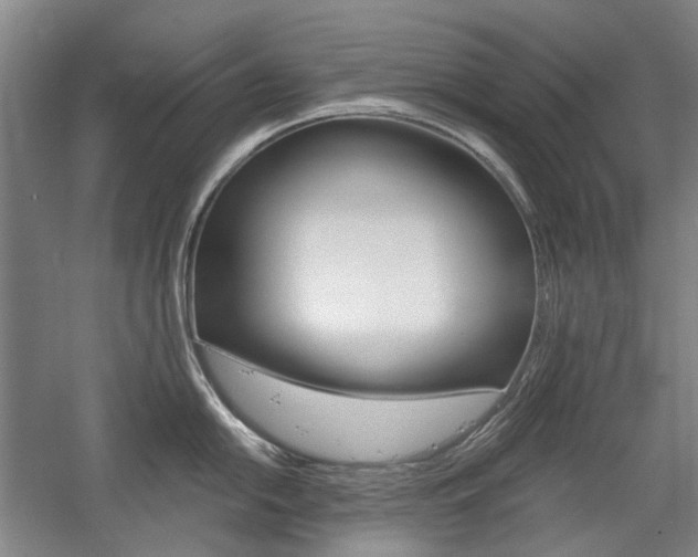 X0000058801054200509300909