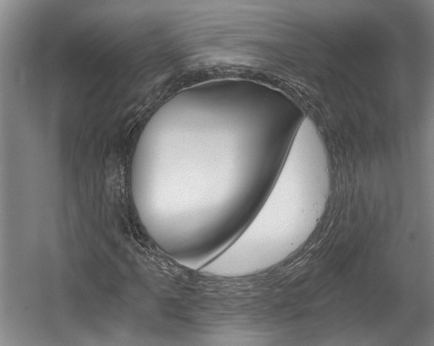 X0000058801061200509300908