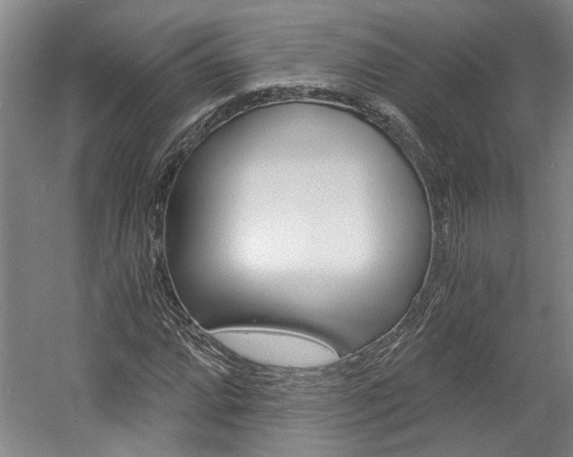 X0000058801064200509300908