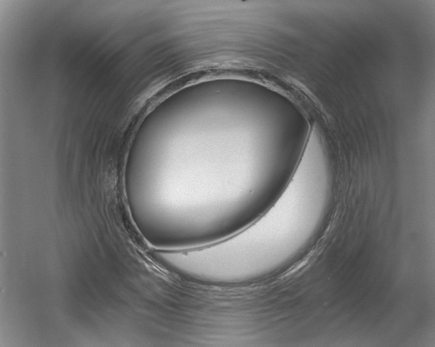 X0000058801065200509300908