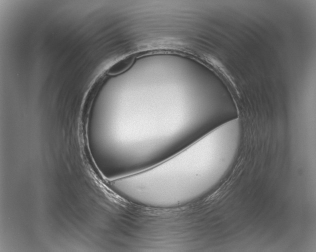 X0000058801072200509300908