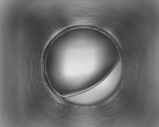 X0000058801077200509300908