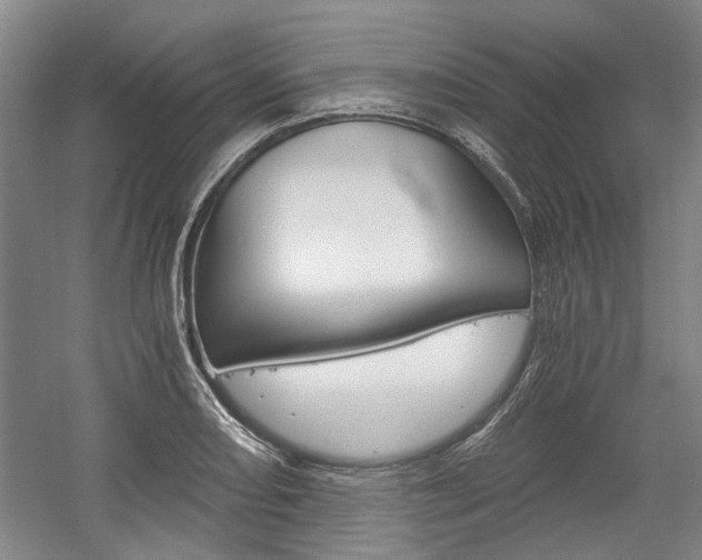 X0000058801082200509300908