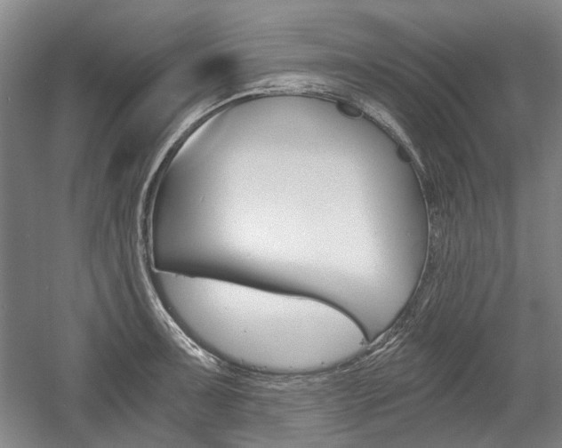 X0000058801091200509300908