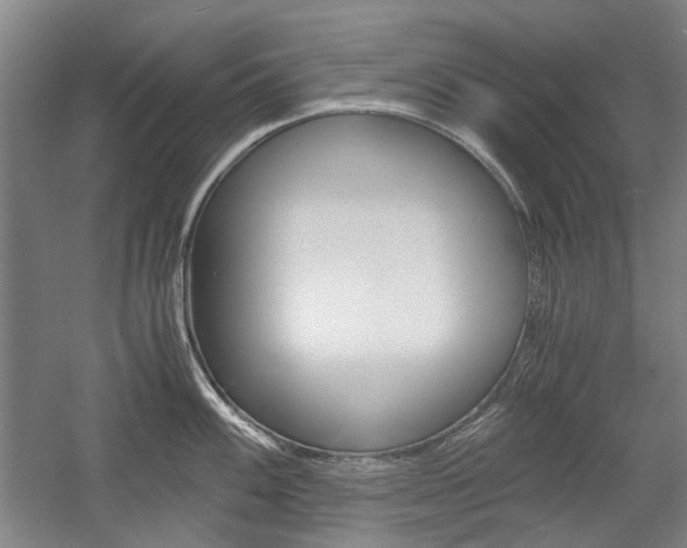 X0000058801100200509300907