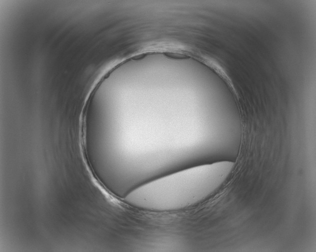 X0000058801103200509300907