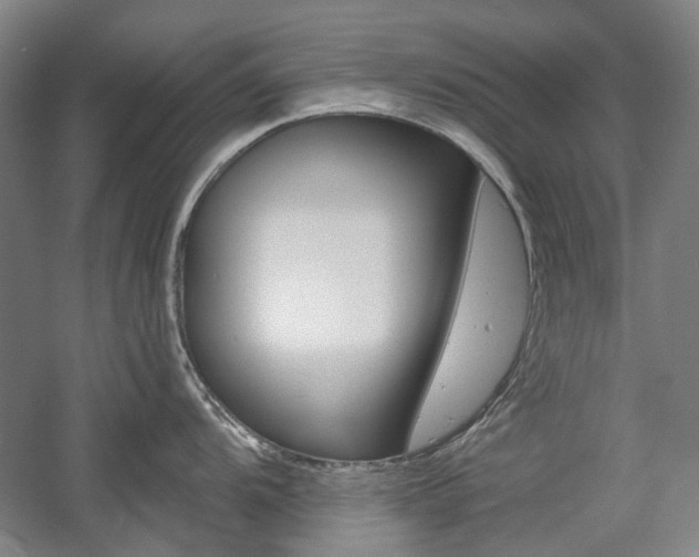 X0000058801104200509300907