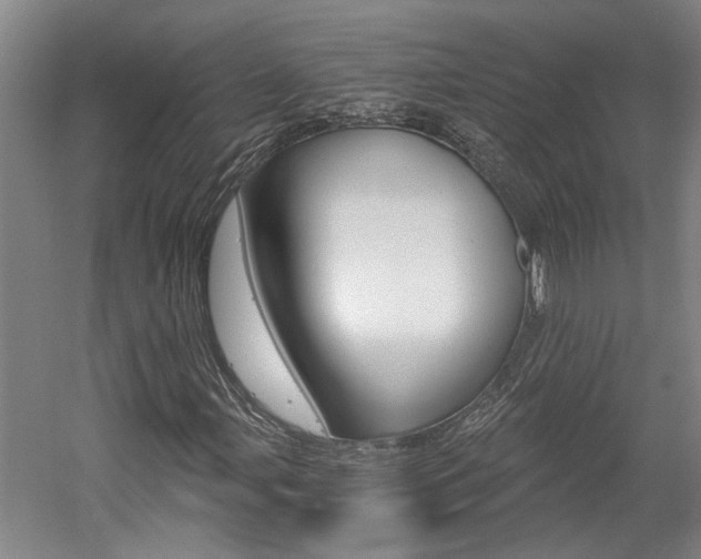 X0000058801107200509300907