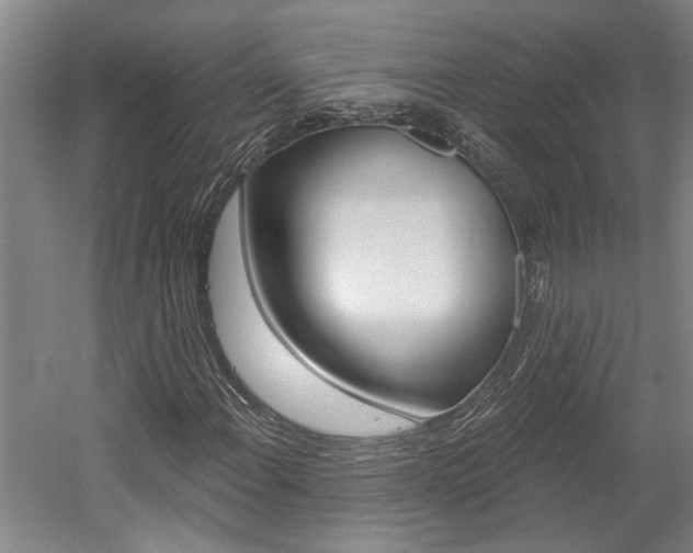 X0000058801108200509300907