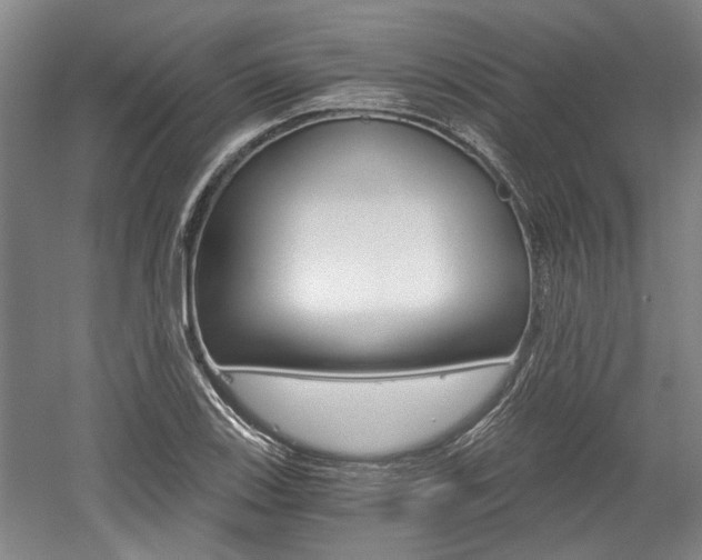 X0000058801123200509300907