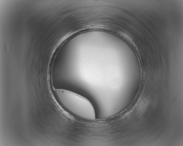 X0000058801133200509300907