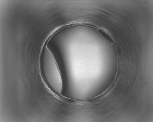 X0000058801134200509300907