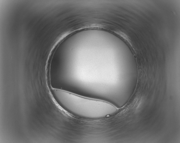 X0000058801135200509300907