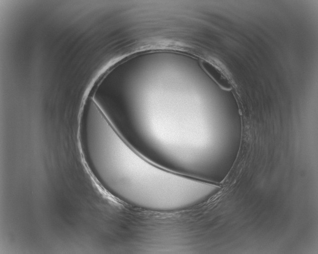 X0000058801136200509300907