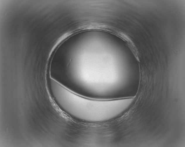 X0000058801138200509300907