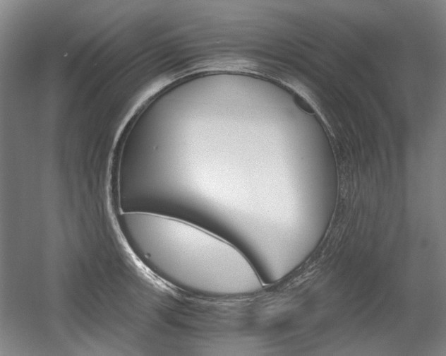 X0000058801139200509300907