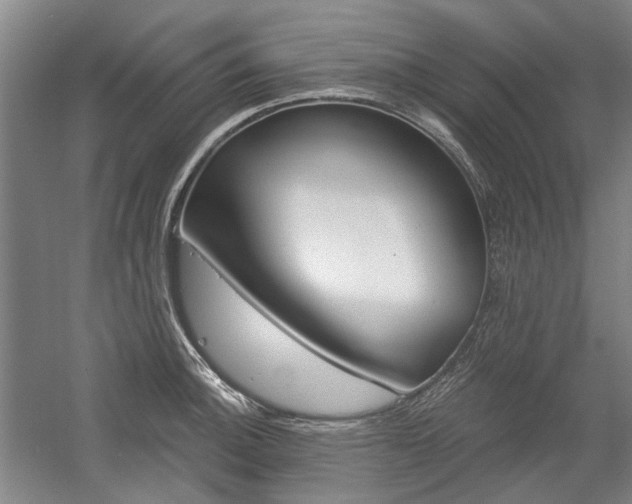 X0000058801140200509300907