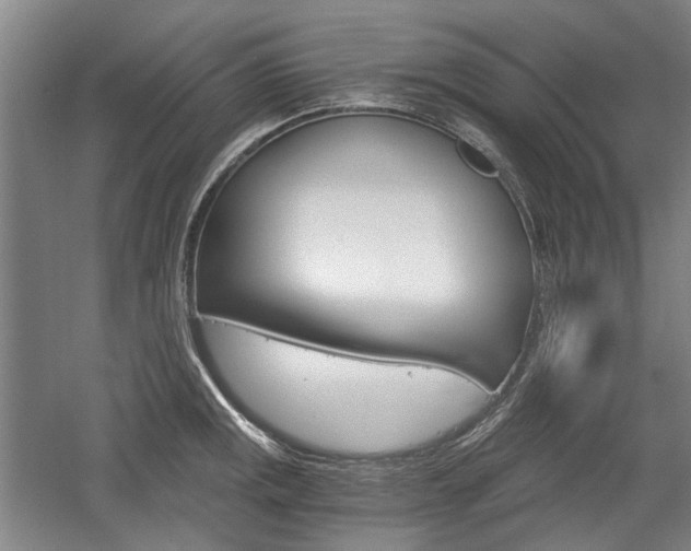 X0000058801141200509300907