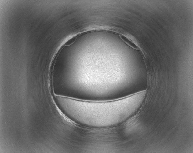 X0000058801143200509300907