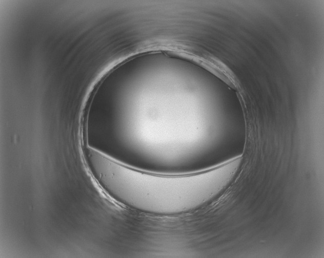 X0000058801144200509300907
