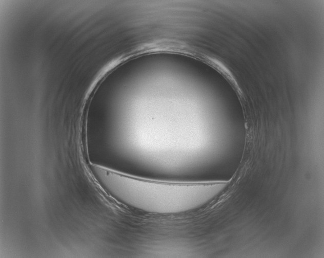 X0000058801146200509300907