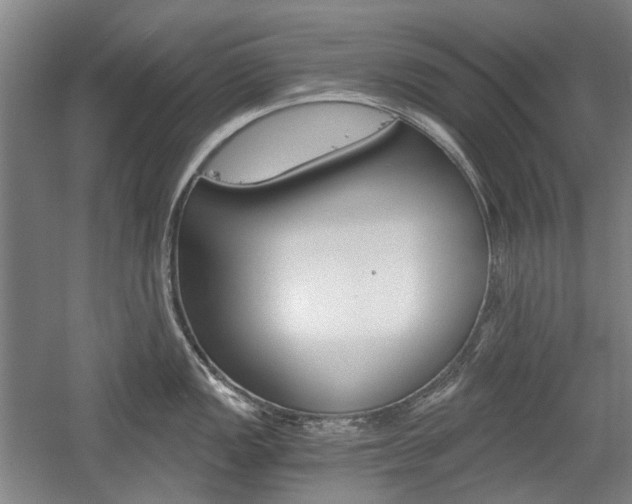 X0000058801149200509300907
