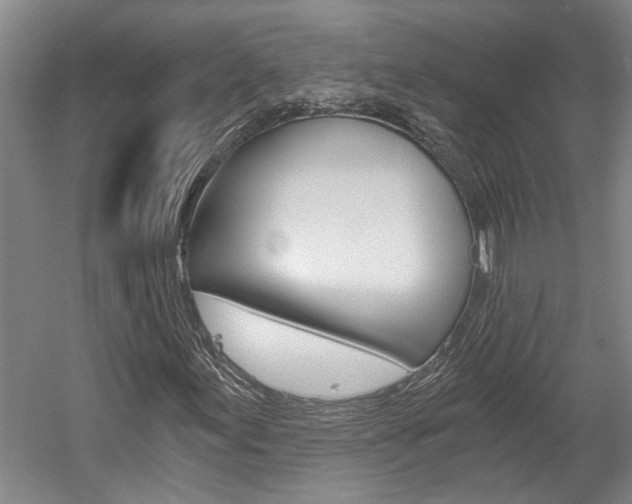 X0000058801155200509300907
