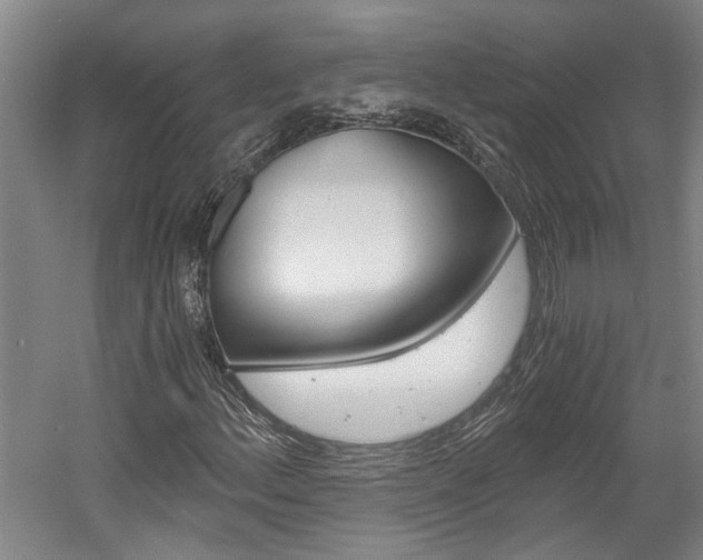 X0000058801156200509300907