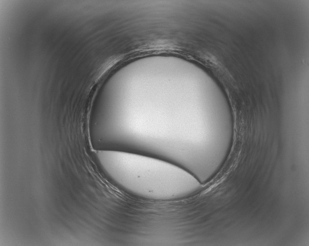 X0000058801162200509300906