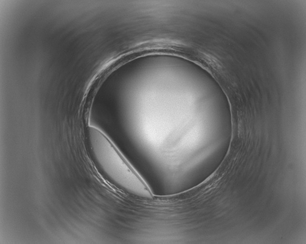 X0000058801164200509300906