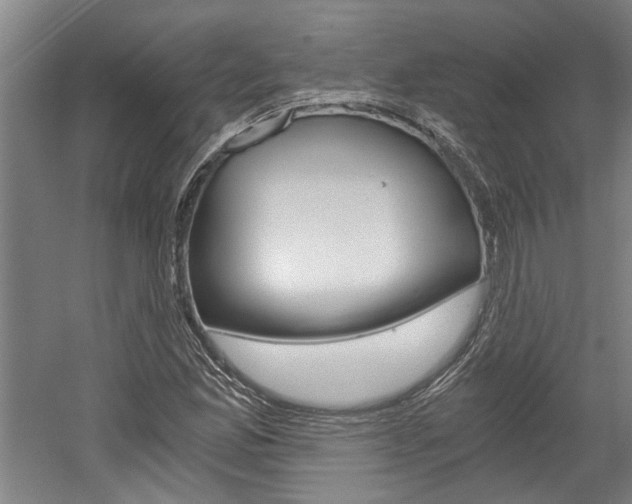 X0000058801165200509300906