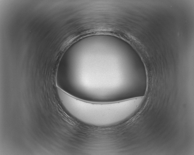 X0000058801169200509300906