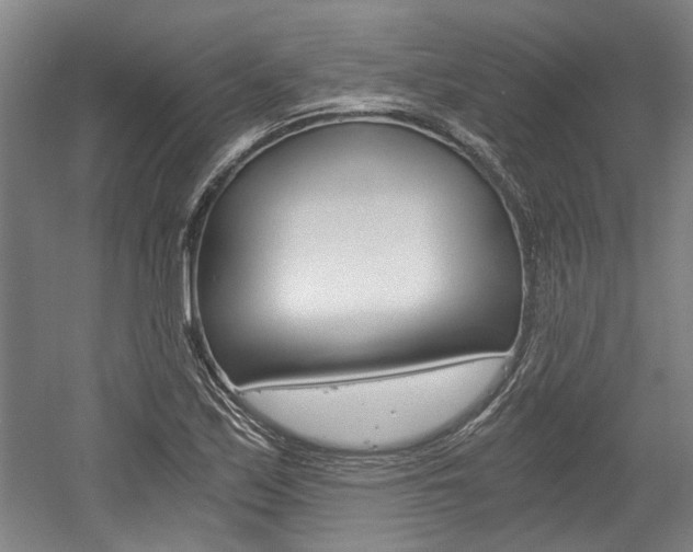 X0000058801171200509300906