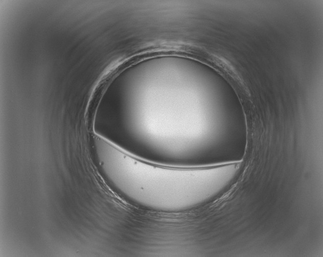 X0000058801172200509300906