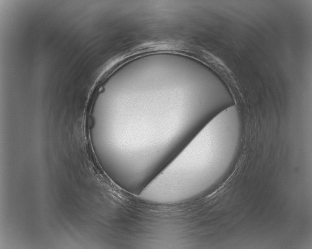 X0000058801174200509300906
