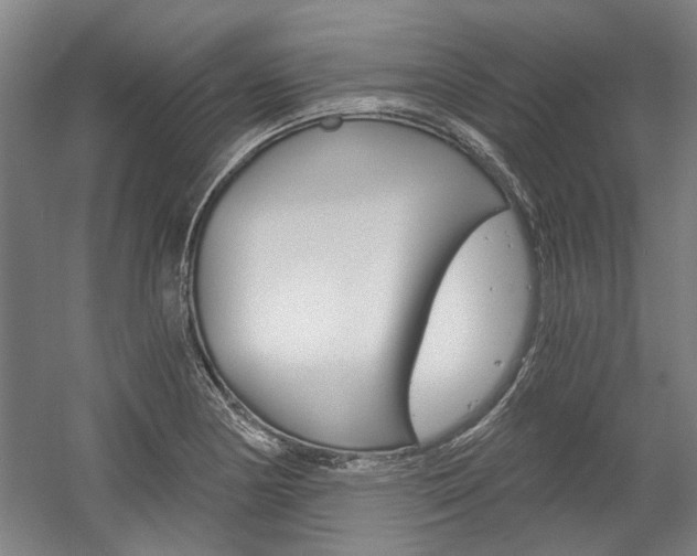 X0000058801178200509300906
