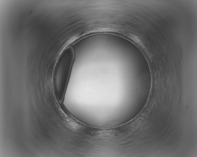 X0000058801181200509300906