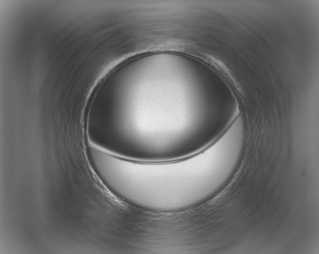 X0000058801184200509300906
