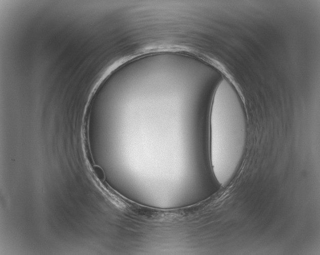 X0000058801187200509300906