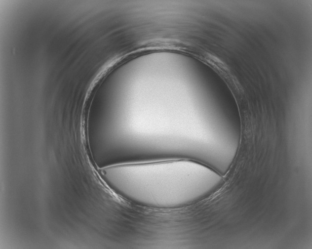 X0000058801188200509300906
