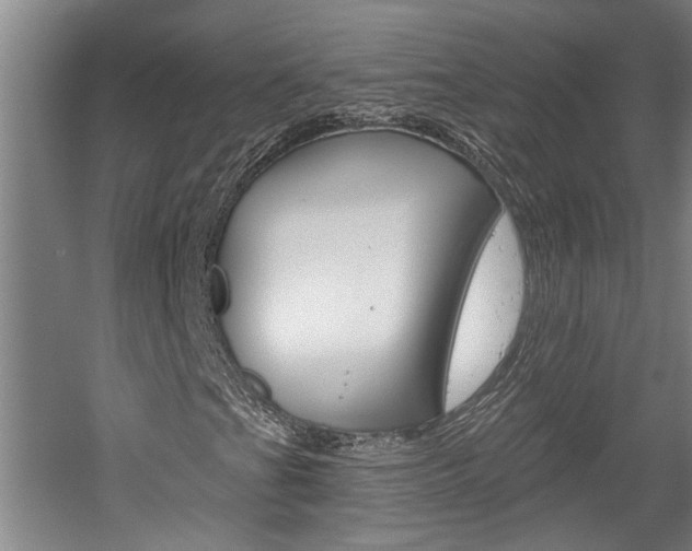 X0000058801201200509300905