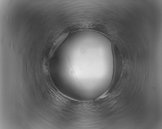 X0000058801202200509300905