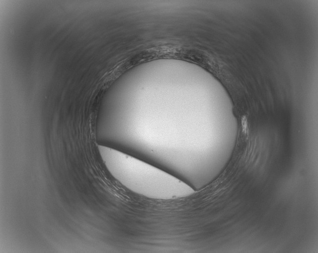X0000058801203200509300905